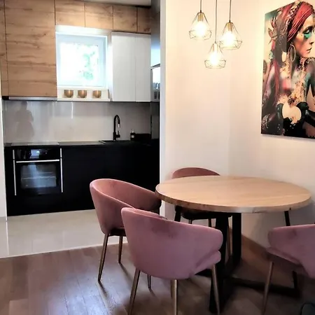 Apartament Snp Center Lux *